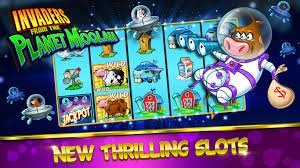 zhhbet